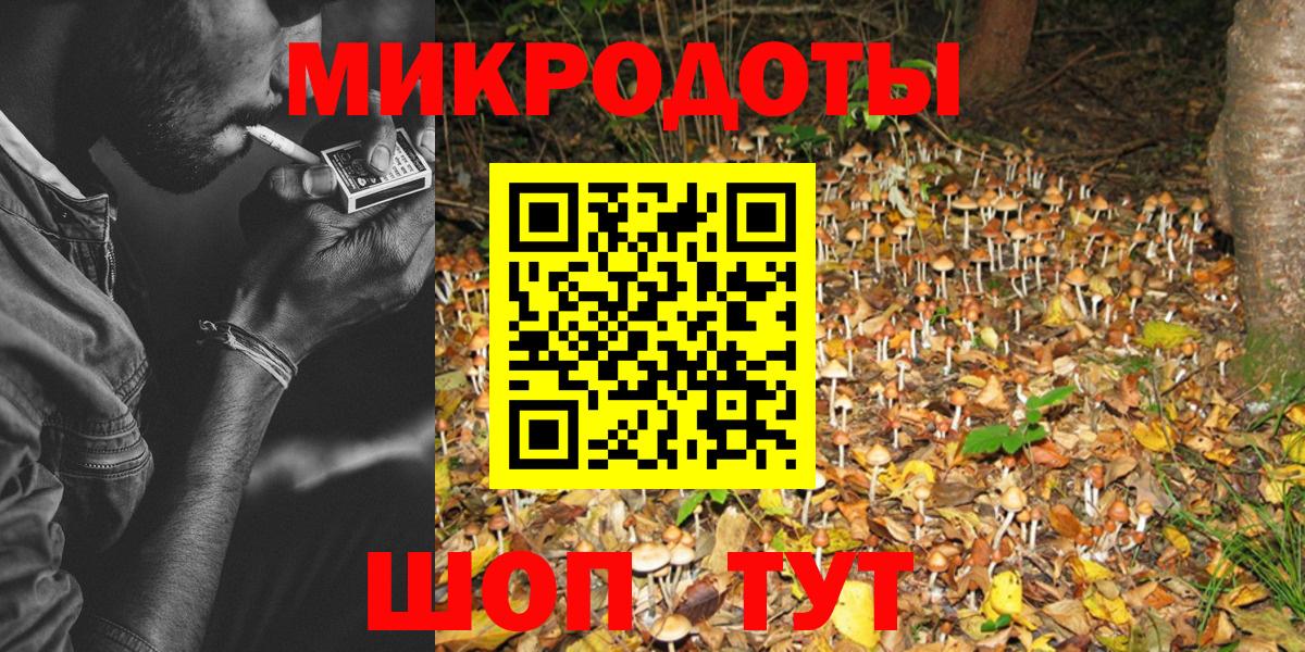 Кинель  Псилоцибиновые грибы Psilocybe  Вход с VPN 